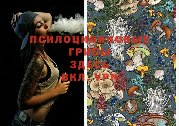 мдпв Абинск