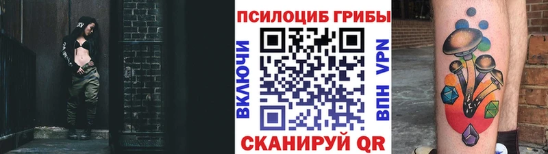 Псилоцибиновые грибы MAGIC MUSHROOMS  закладка  Елизово 