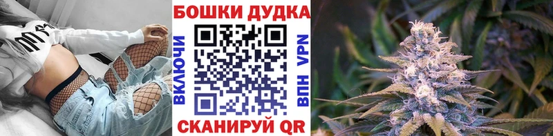 Канабис план  Елизово 